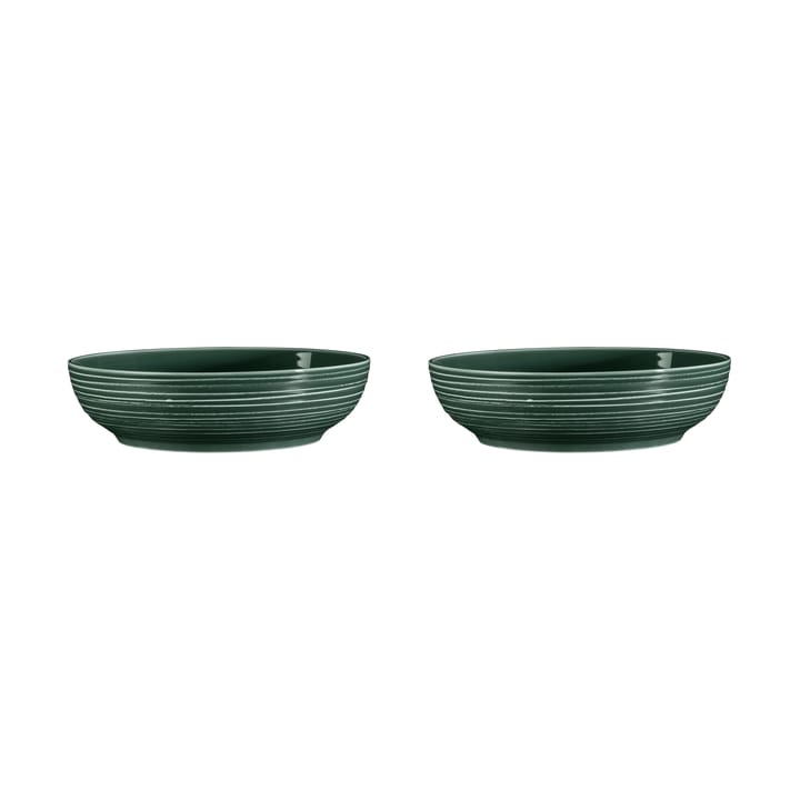 Terra schaal Ø25,5 cm 2-pack - Moss Green - Seltmann Weiden