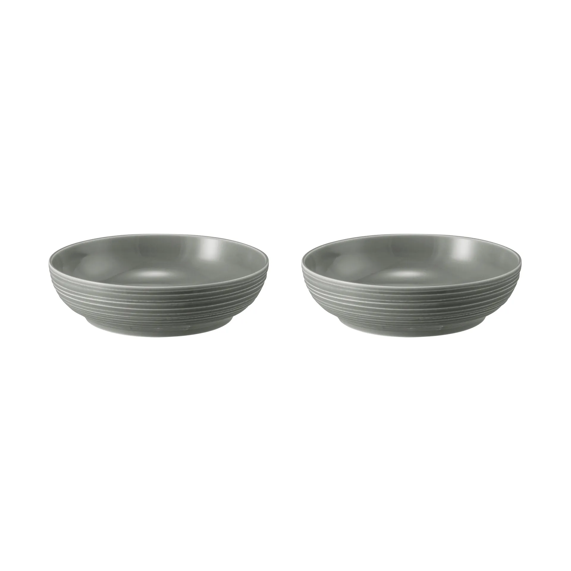 Terra schaal Ø25,5 cm 2-pack, Pearl Grey Seltmann Weiden