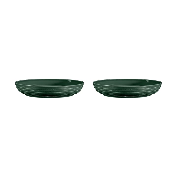 Terra schaal Ø28 cm 2-pack - Moss Green - Seltmann Weiden