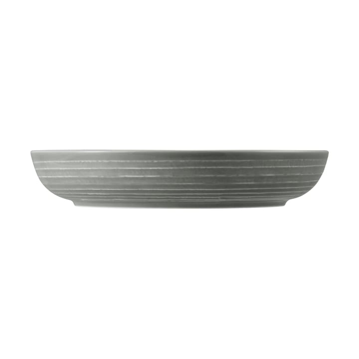Terra schaal Ø28 cm 2-pack, Pearl Grey Seltmann Weiden