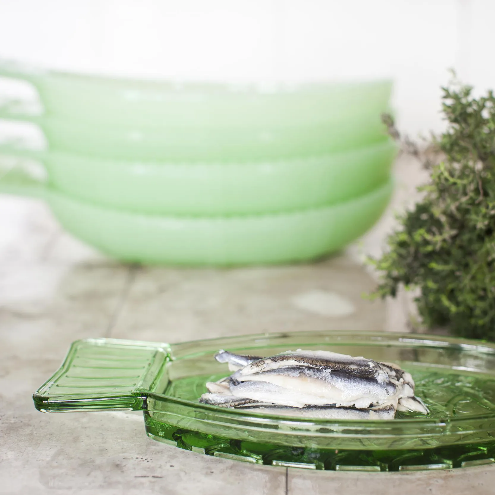 Fish & Fish bord 10x23 cm, Green Serax