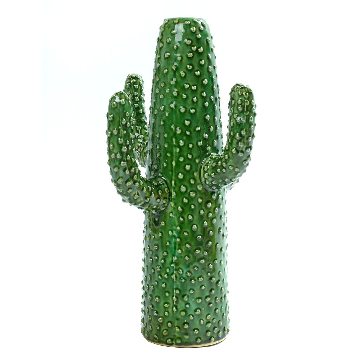 Serax Serax cactusvaas Large