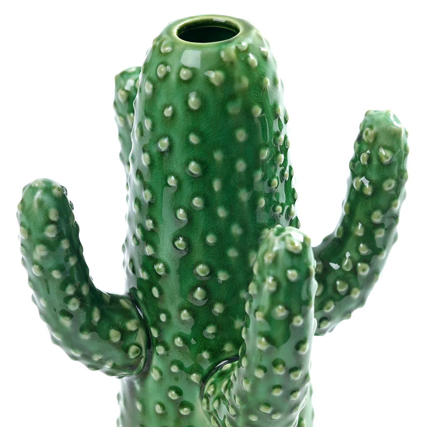 Serax cactusvaas, Medium Serax