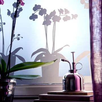 Orkidé raamfolie - 48 x 120 cm. - Siluett Frost