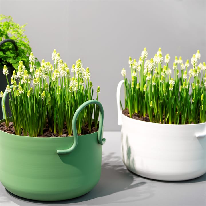 Tivoli bloempot Ø30 cm laag, wit SMD Design