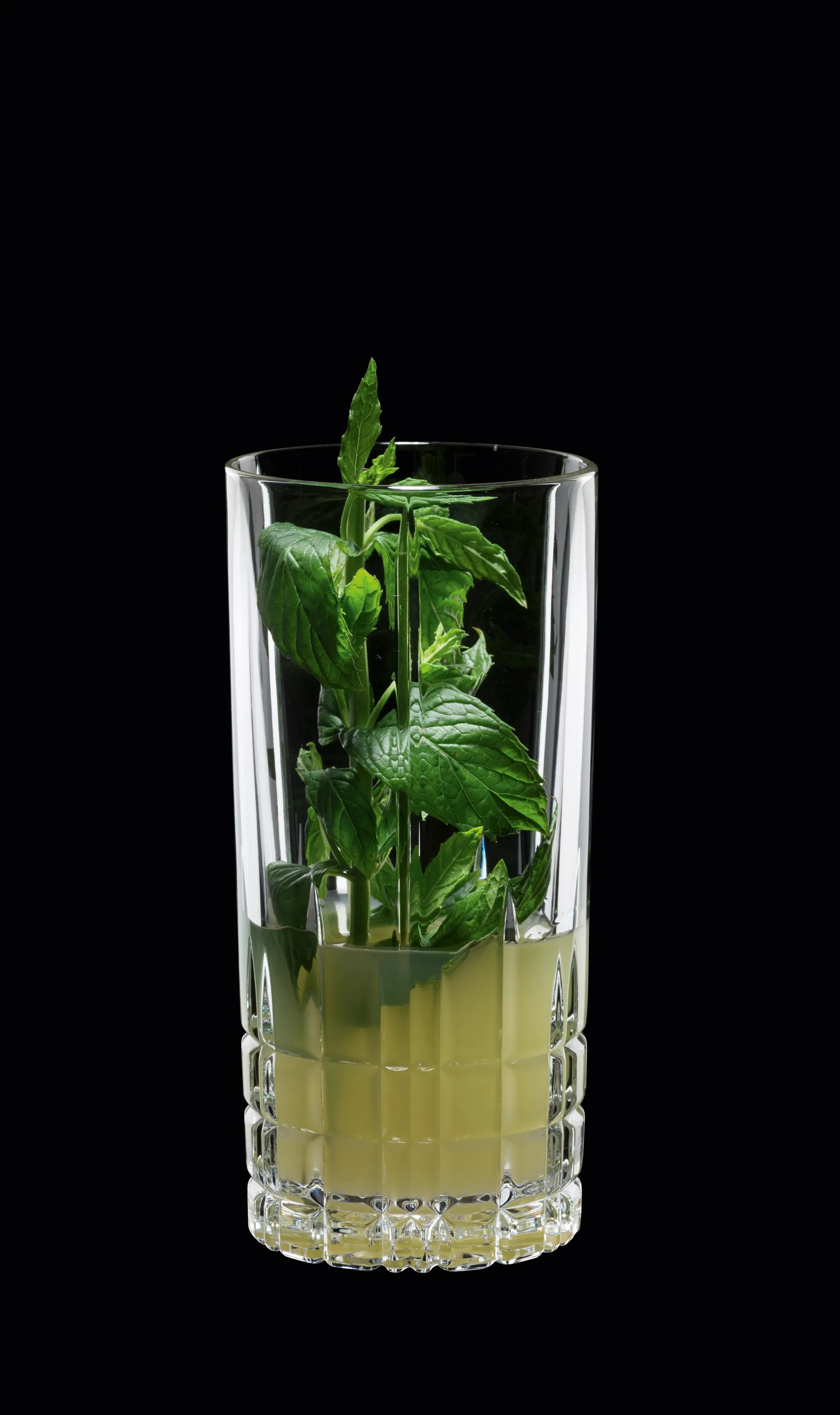 Perfect Serve longdrinkglas 35 cl, 4 stuks, transparant Spiegelau