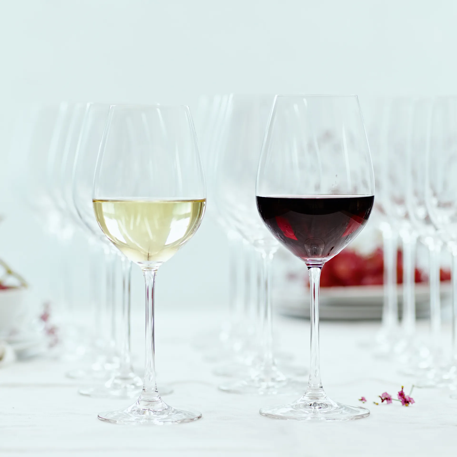 Salute wittewijnglas 47 cl, 4 stuks, transparant Spiegelau