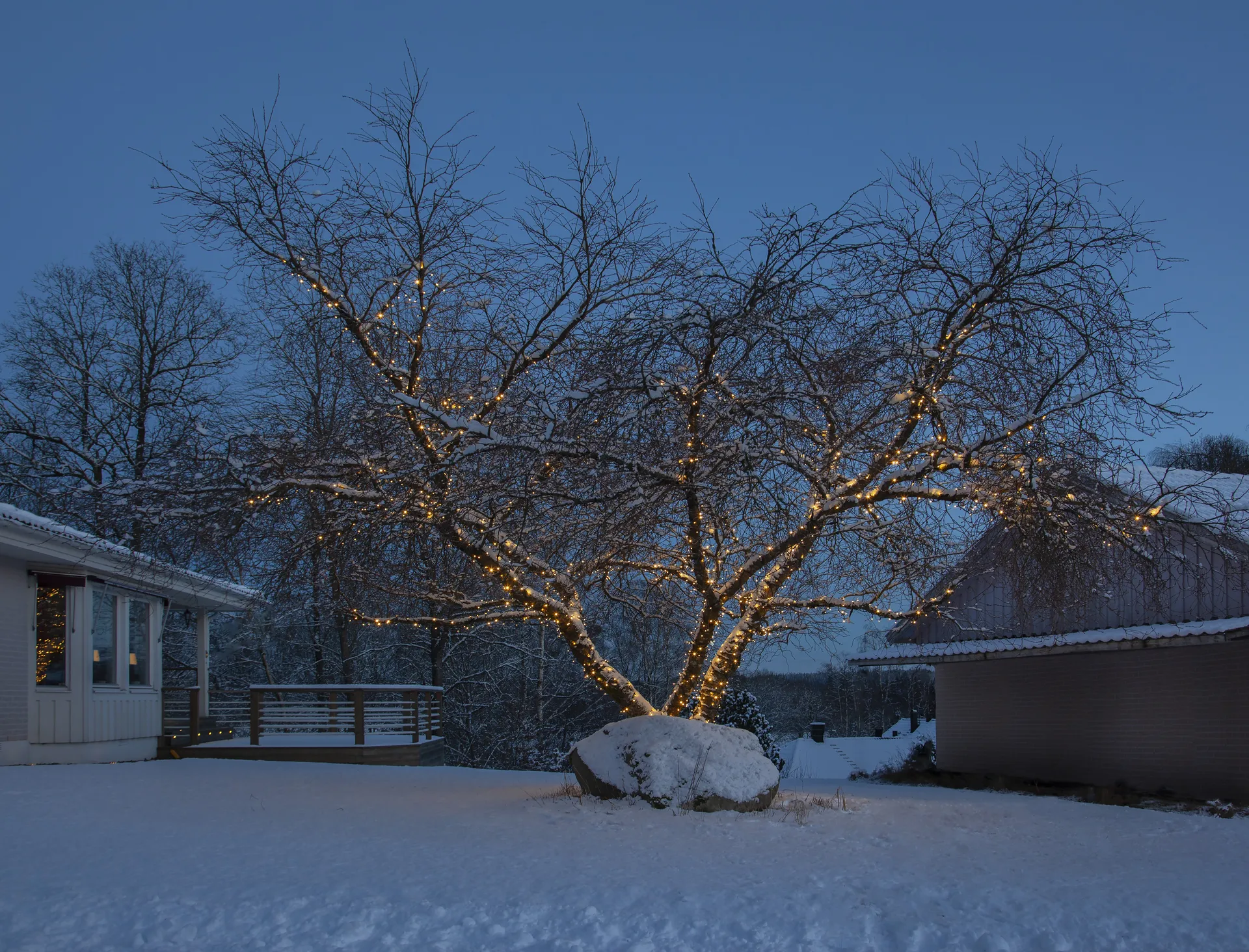 Star Trading system LED startkabel, 180 cm Star Trading