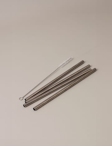 Stelton herbruikbare rietjes 4-pack - Steel - Stelton