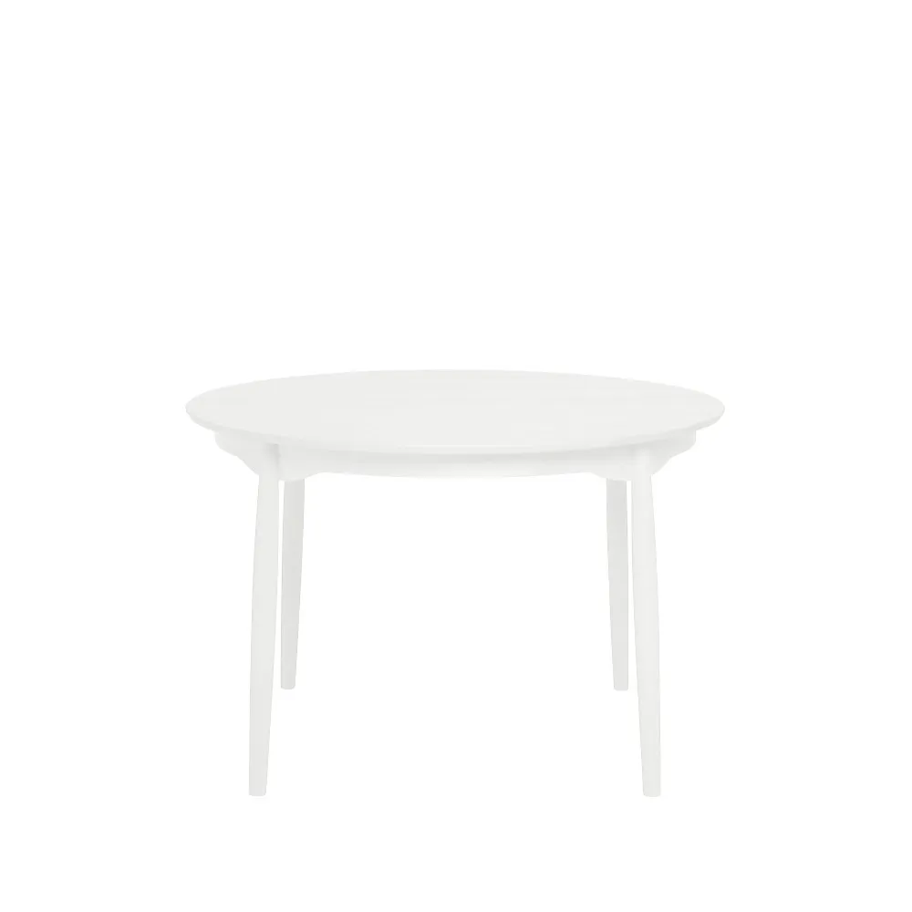 Carl eettafel berkenhout, Wit 21 dekkend, vast blad Stolab