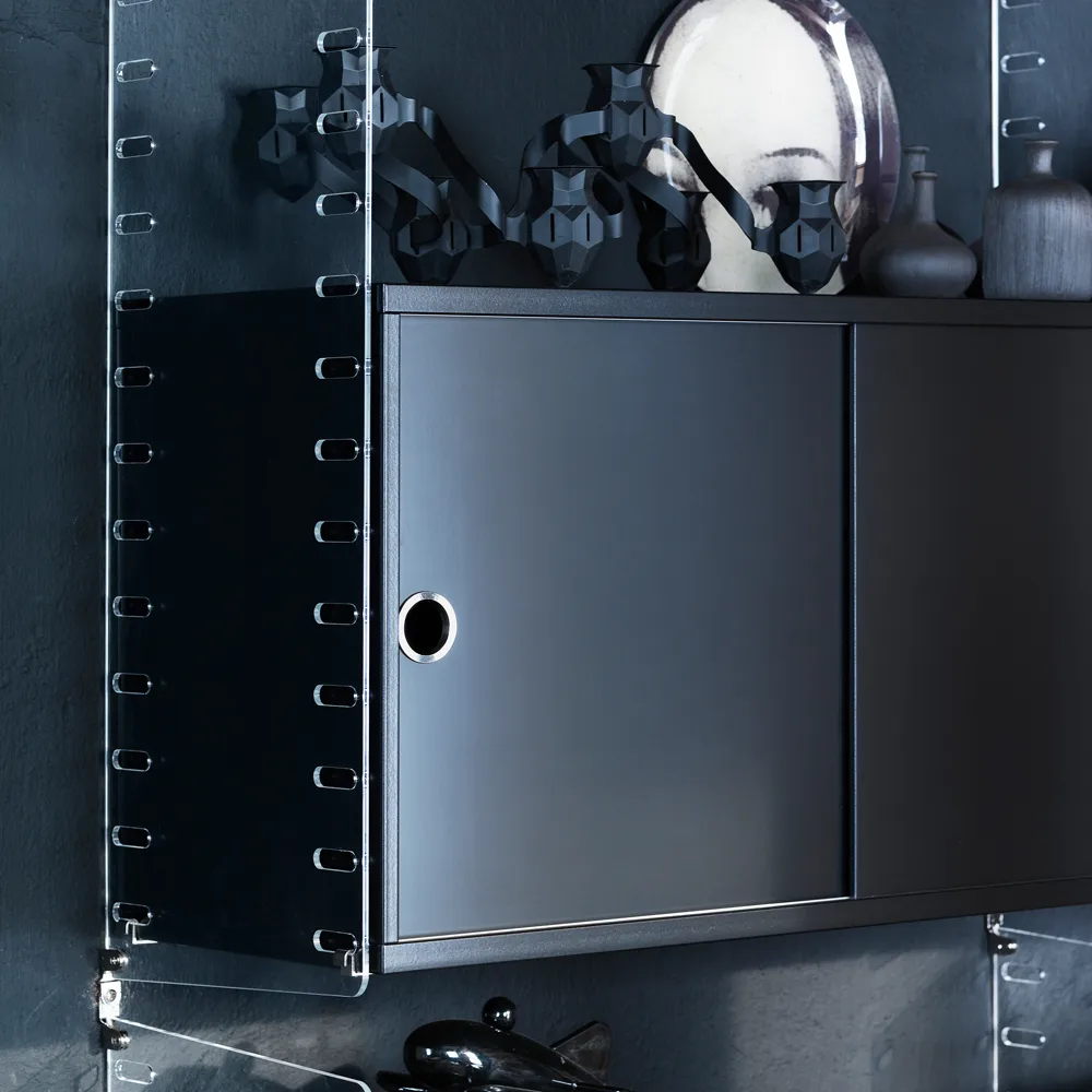 String Plex wandpaneel, Transparant, 75x30 cm, 2-pack String