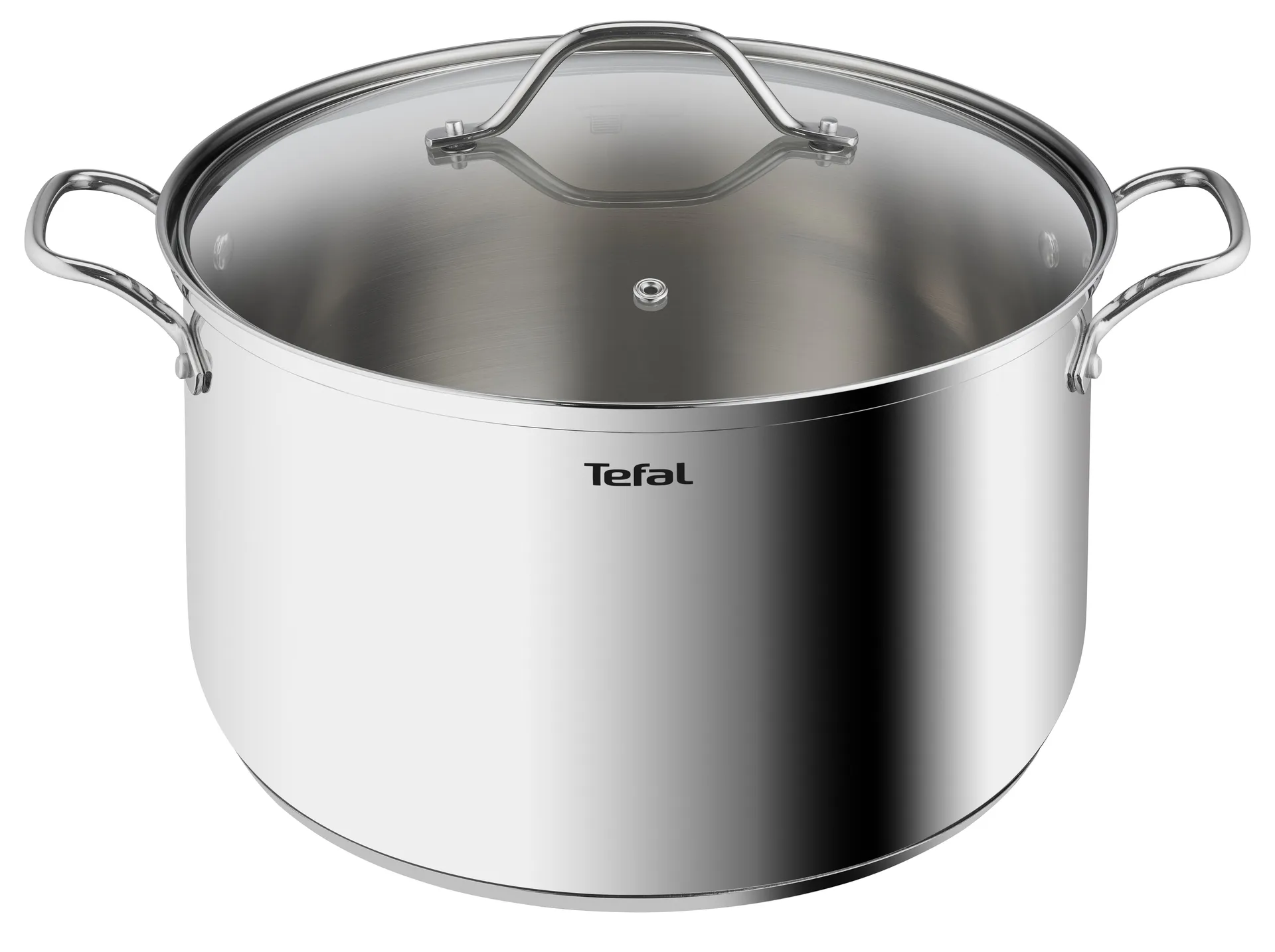 Intuition pan 30 cm 10 L, Roestvrij staal Tefal