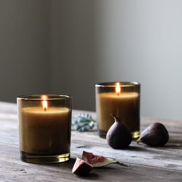 Noir geurkaars 50 uur - Fig tree - Tell Me More
