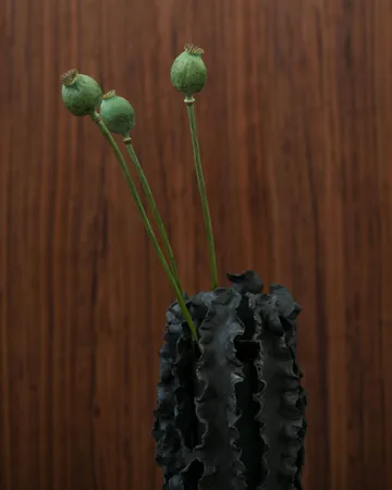 Melera vaas - Black, 33x16 cm - Tinted