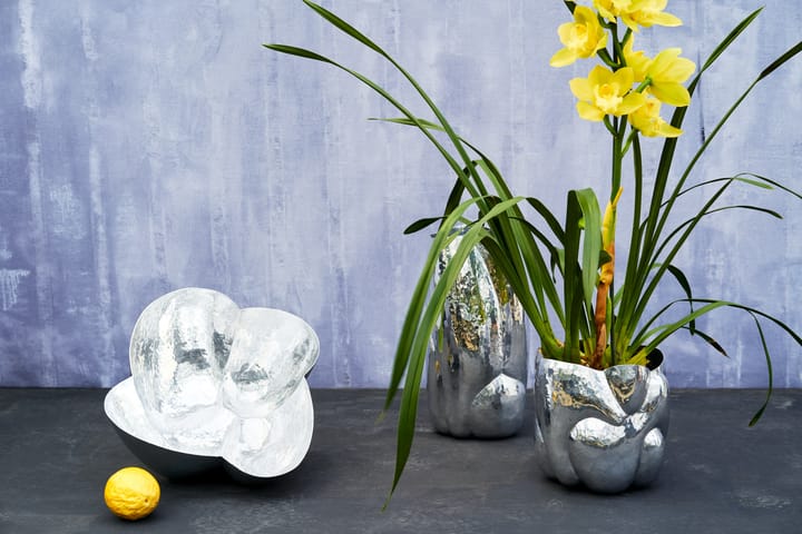 Cloud kom, Zilver Tom Dixon