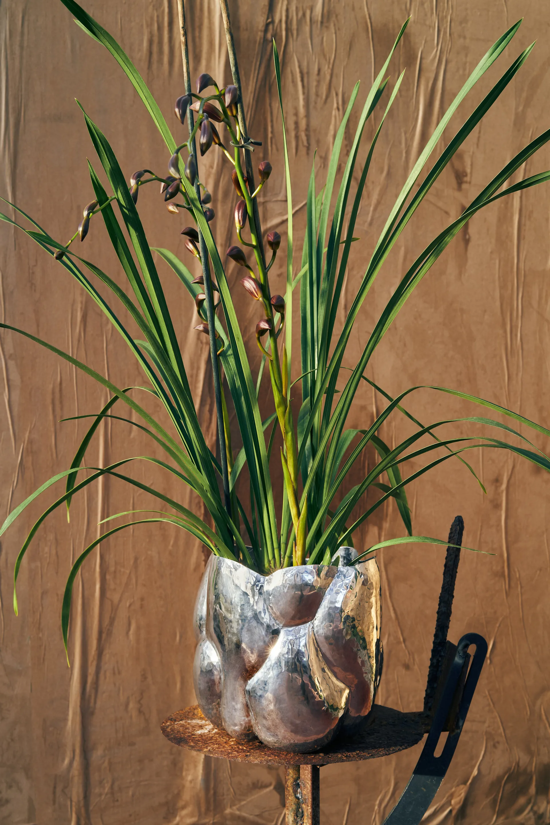 Cloud vaas laag, Zilver Tom Dixon