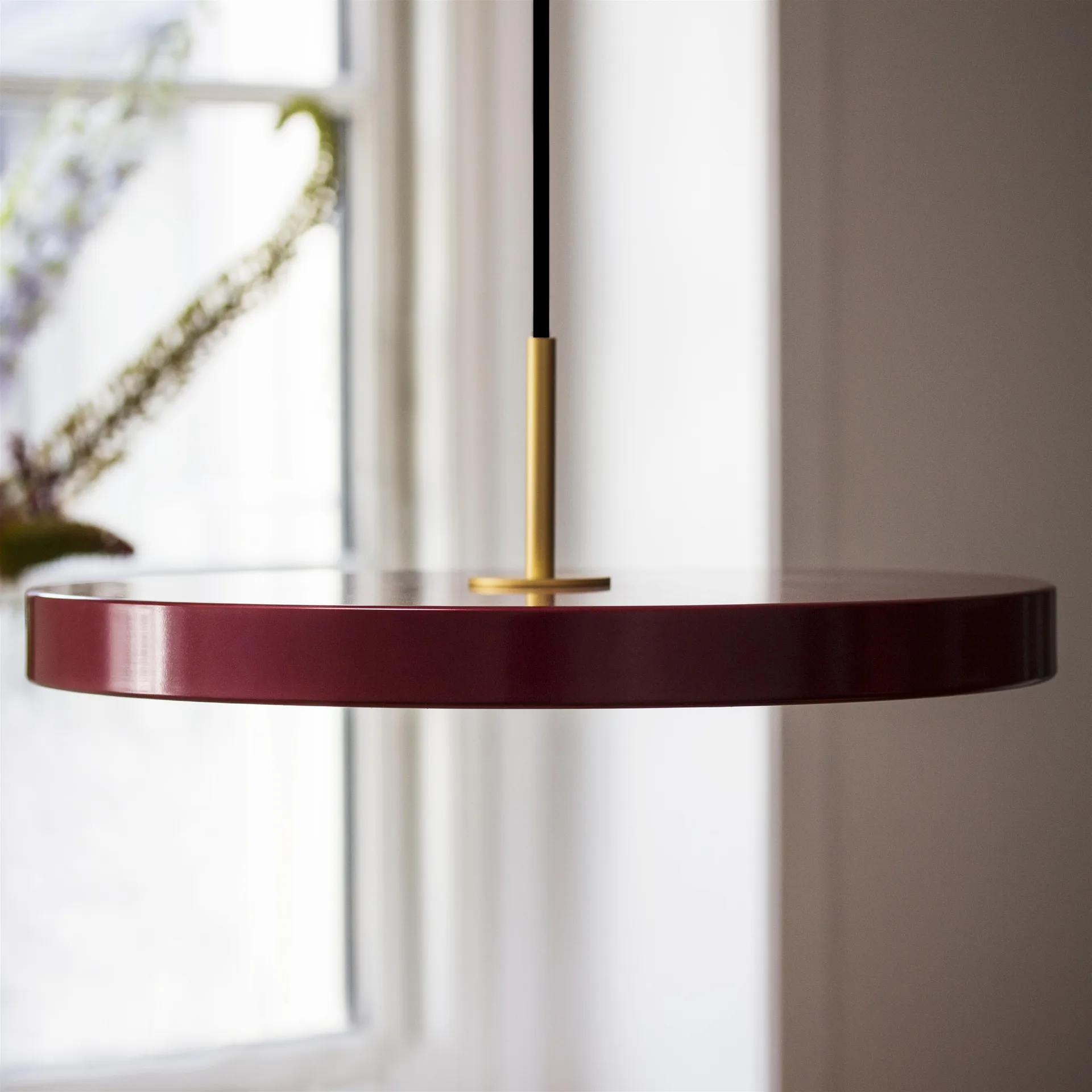 Asteria hanglamp, ruby (wijnrood) Umage
