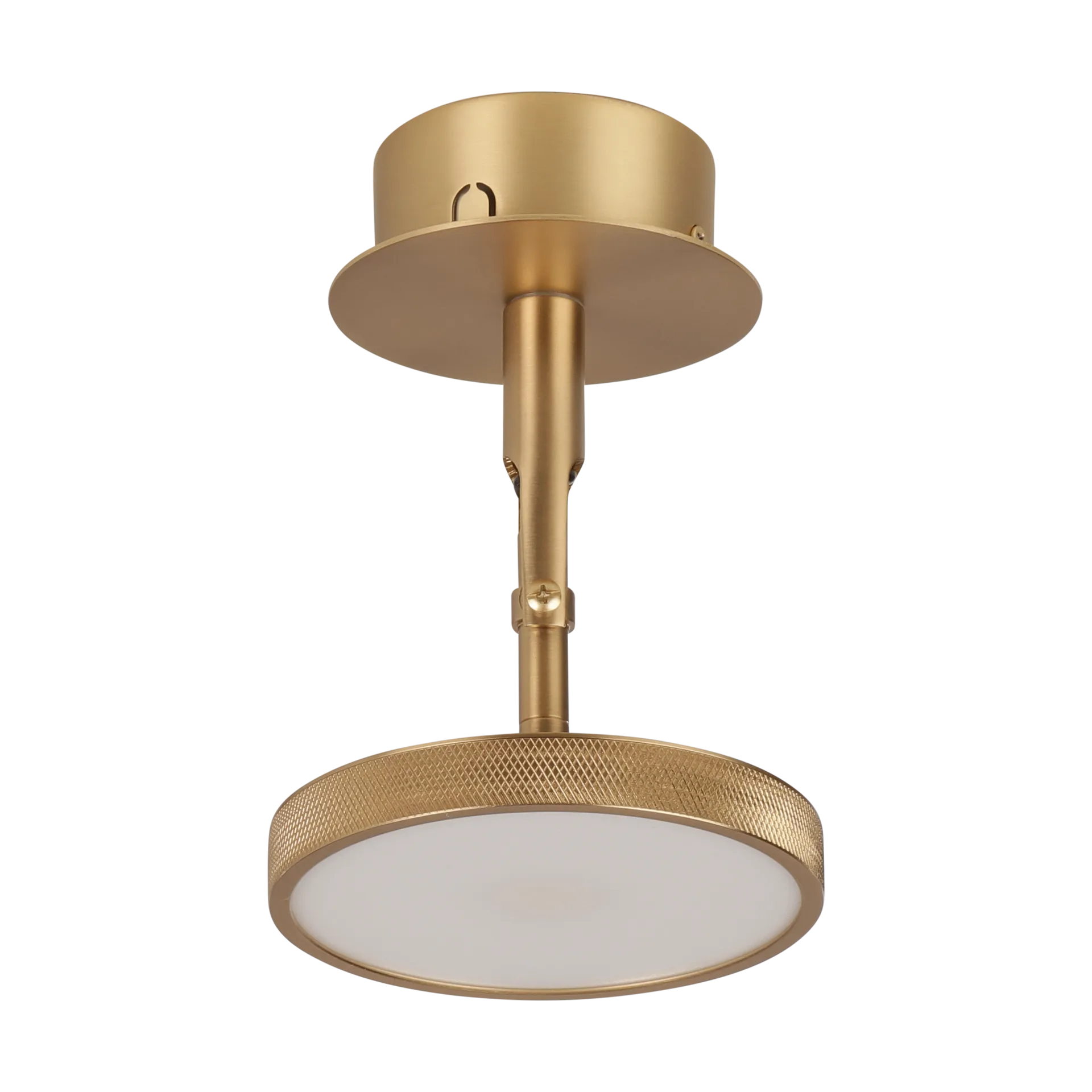 Asteria Spot plafond- en wandlamp Ø12 cm, Polished brass Umage