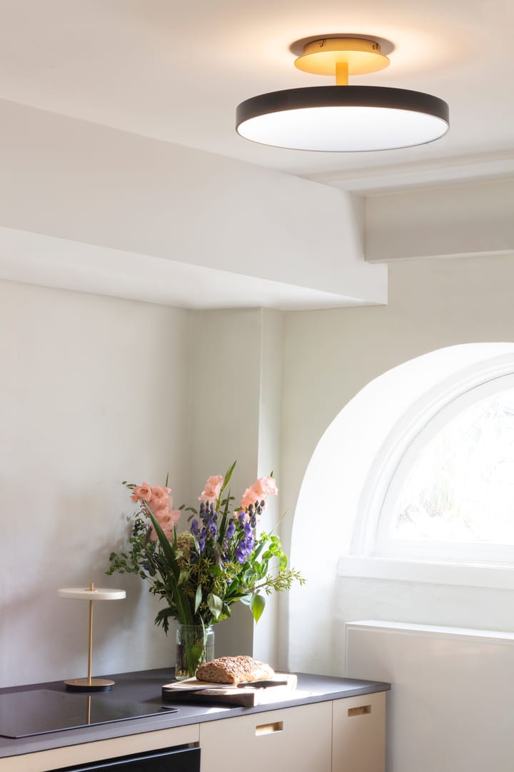 Asteria Up plafonnière medium, Anthracite grey Umage