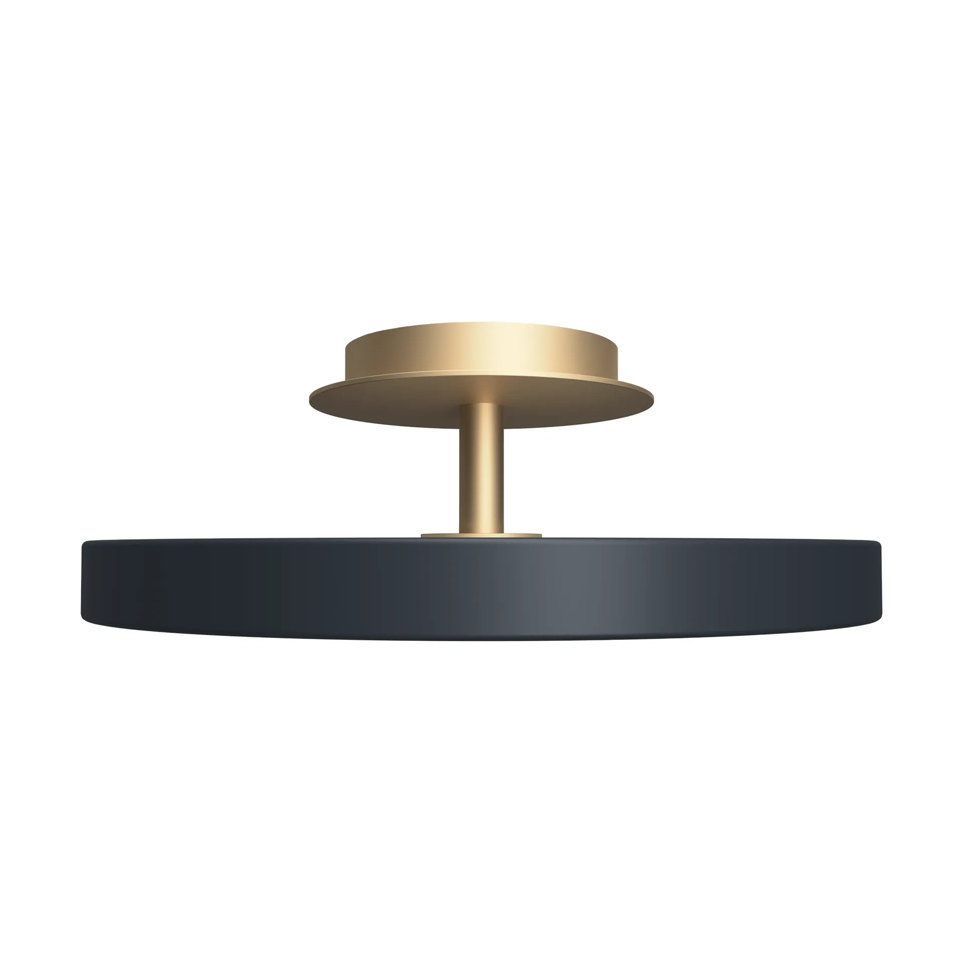 Asteria Up plus mini, Antraciet Umage