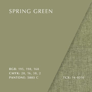 The Reader fauteuil donker eikenhout - Spring green - Umage