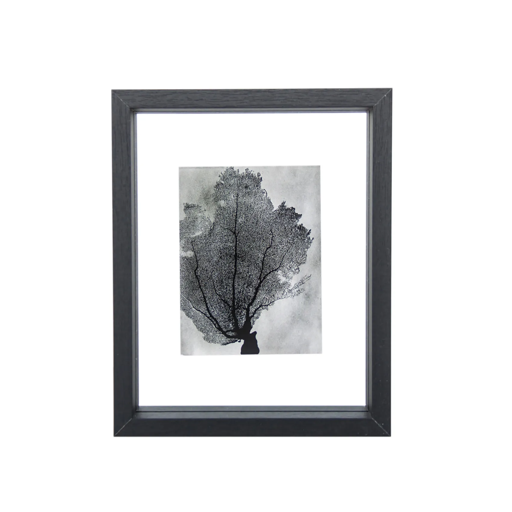 Floating fotolijst 15x20 cm, Black URBAN NATURE CULTURE