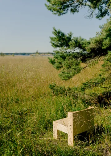 005 Lounge Chair loungestoel - Mat geolied en gewaxt grenen - Vaarnii