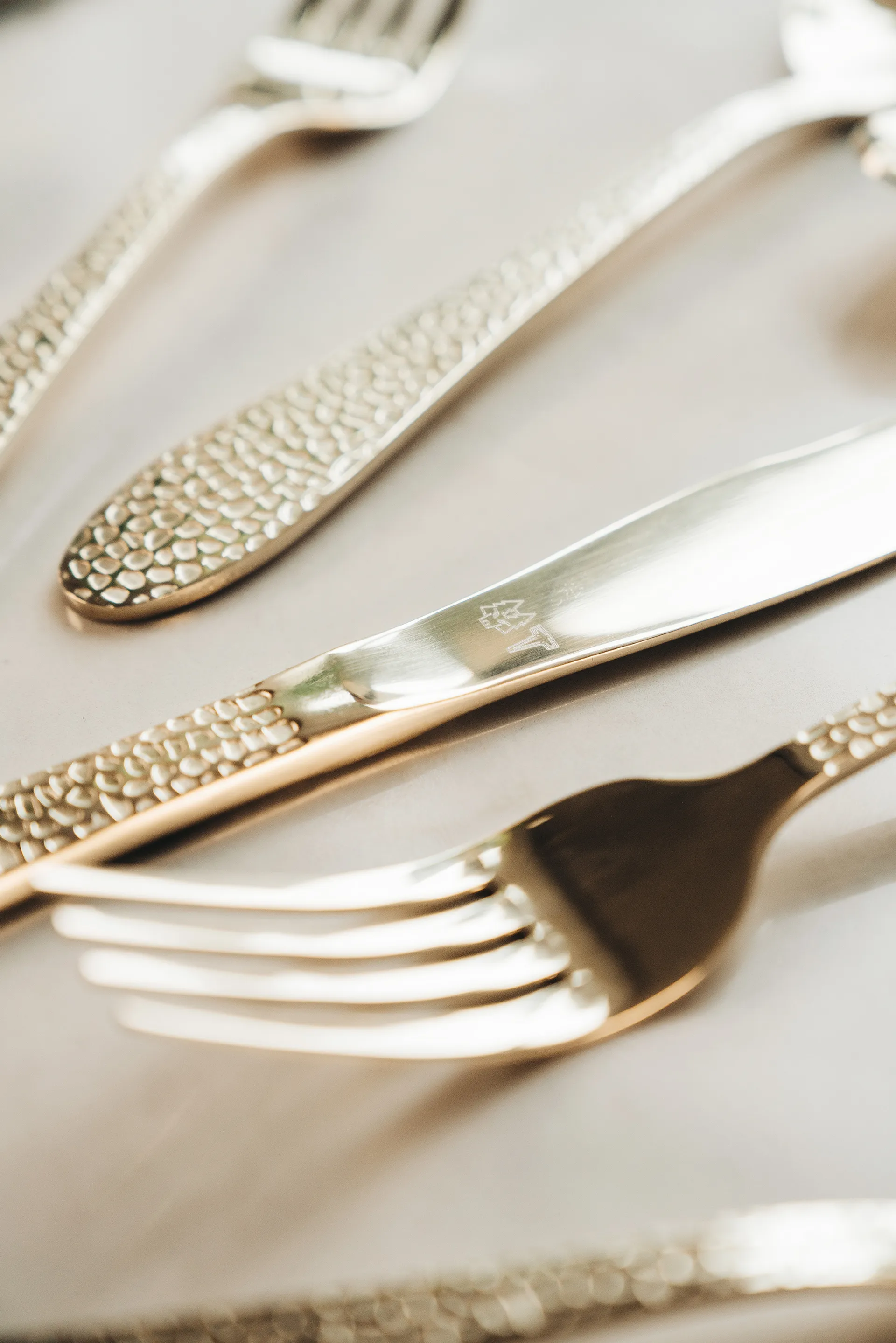 Vargen & Thor bestekset 16-delig, Aura, cava Vargen & Thor