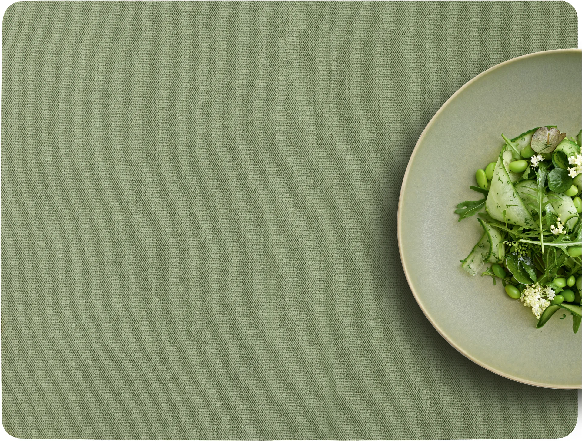 Shoku placemat 35x46 cm 4-pack, Pure Green Villa Collection