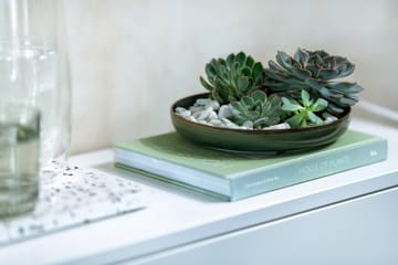 Crafted Breeze diep bord Ø21,5 cm - Green - Villeroy & Boch