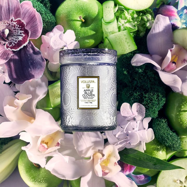 Japonica geurkaars in glazen pot 50 uur, Apple Blue Clover Voluspa
