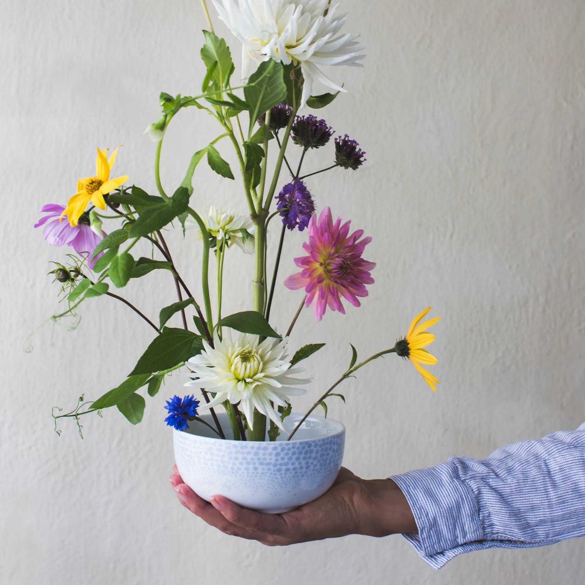 Osean kom 50 cl, Zee Wik & Walsøe