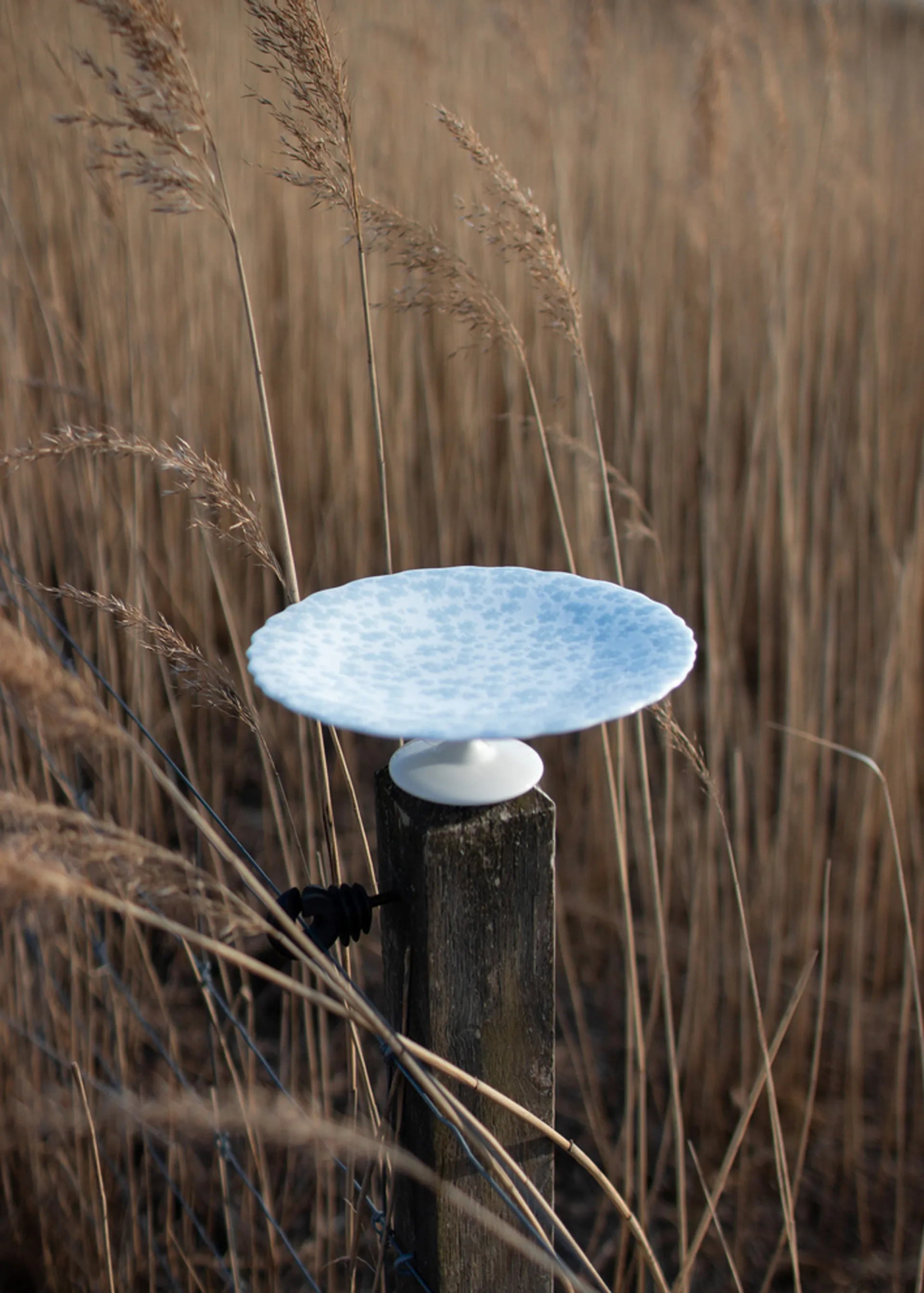 Slåpeblom taartschotel Ø21 cm, Blauw Wik & Walsøe