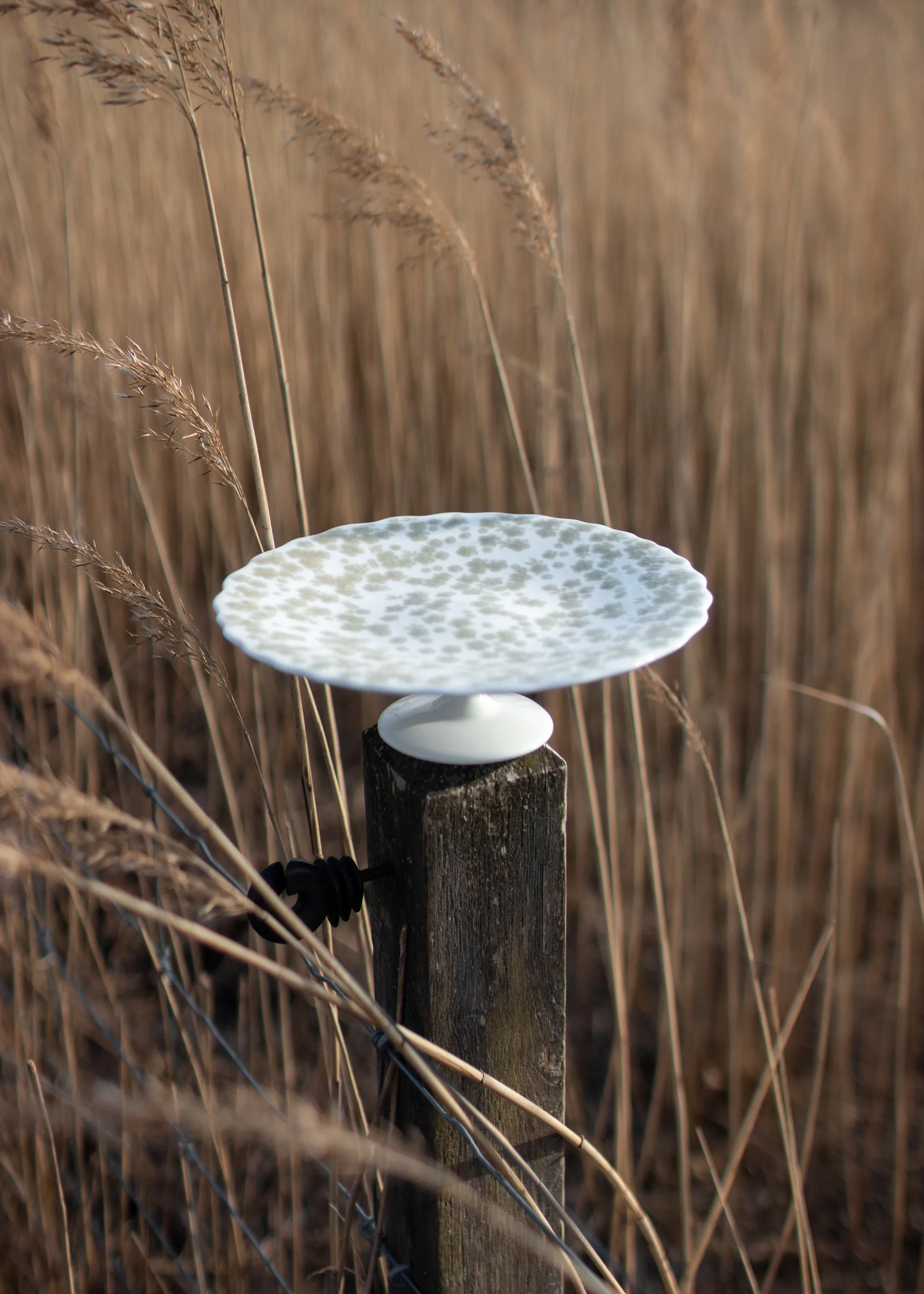 Slåpeblom taartschotel Ø21 cm, Groen Wik & Walsøe