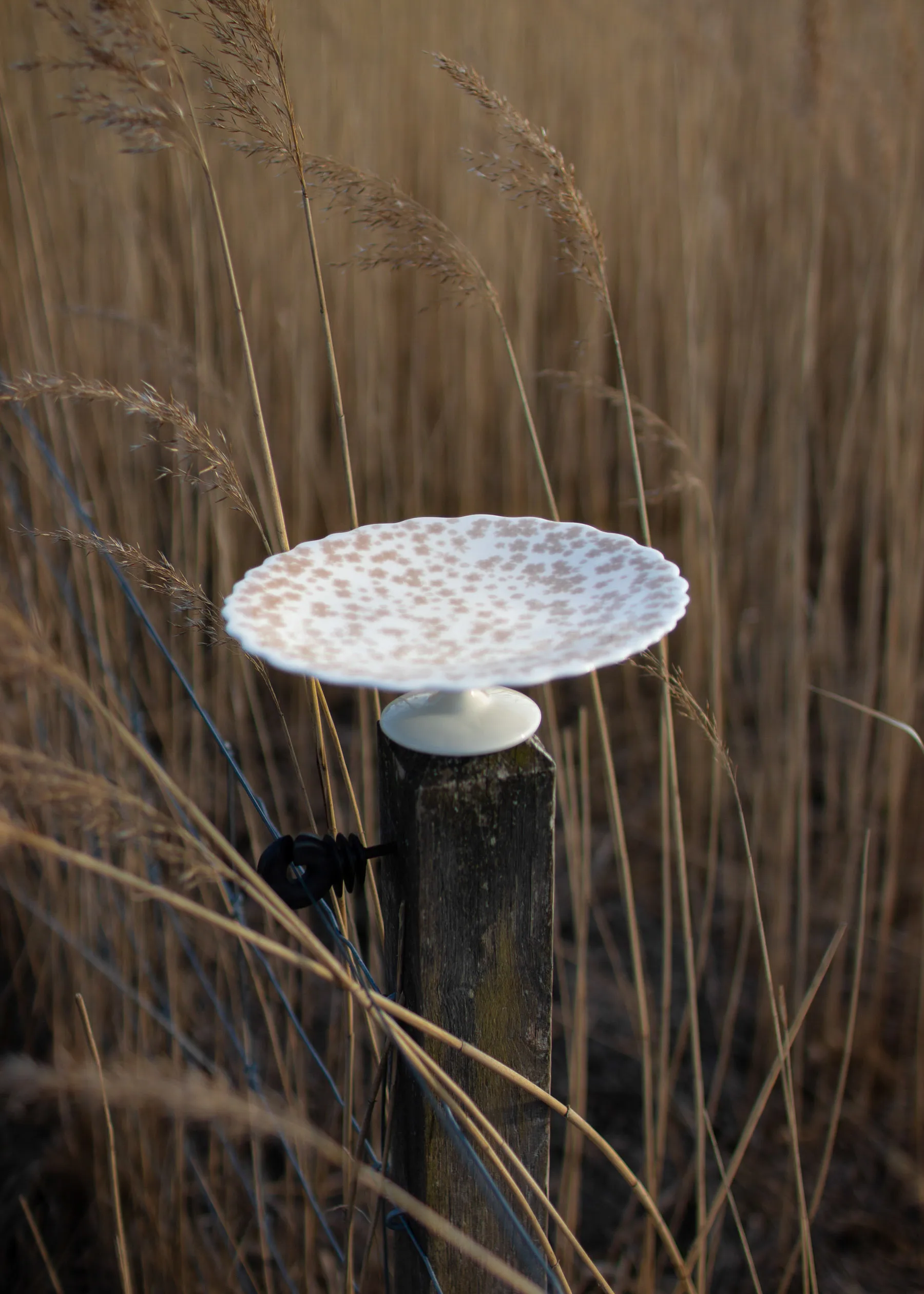 Slåpeblom taartschotel Ø21 cm, Roze Wik & Walsøe