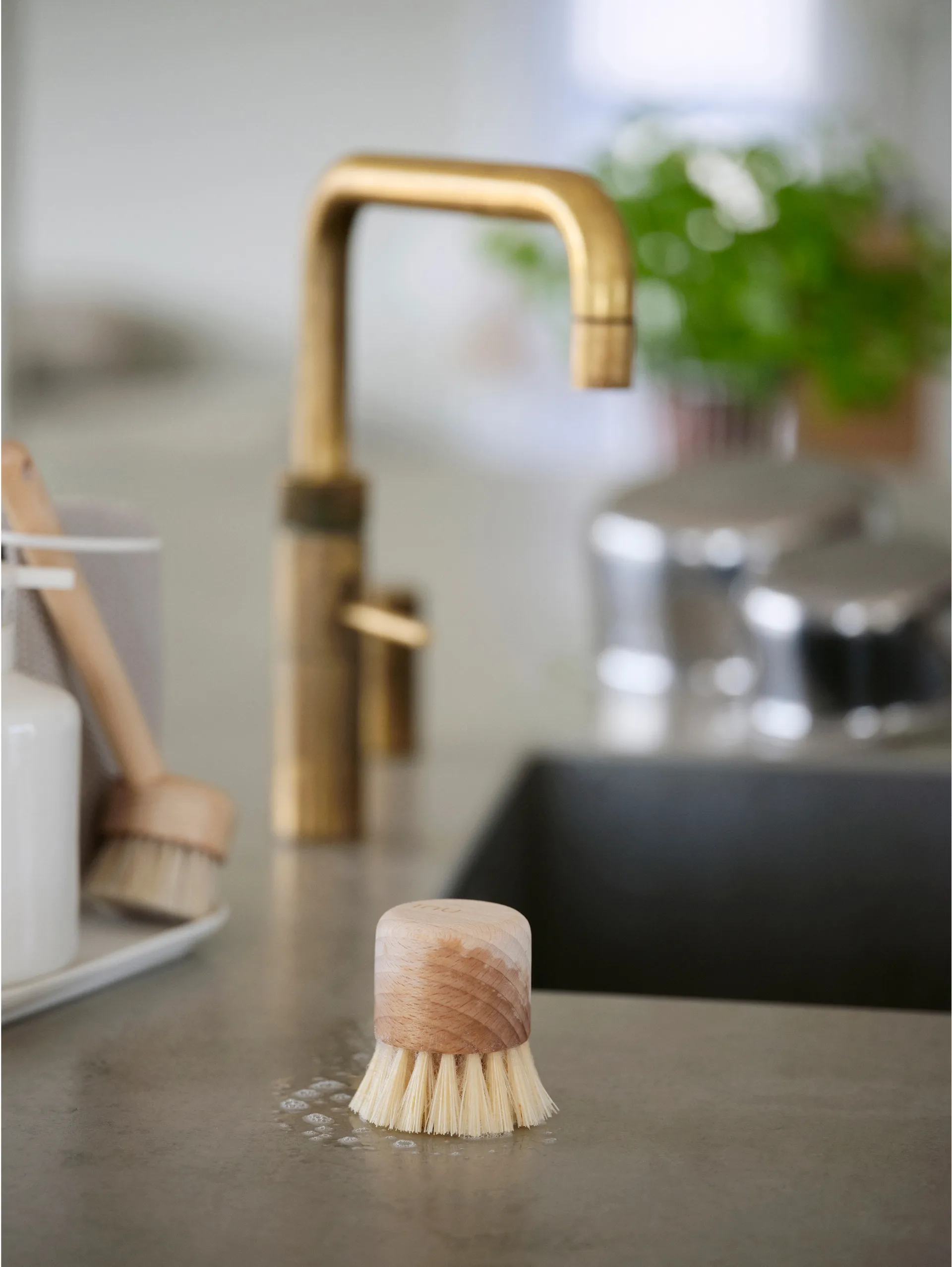 Inu afwasborstel, Beukenhout Zone Denmark