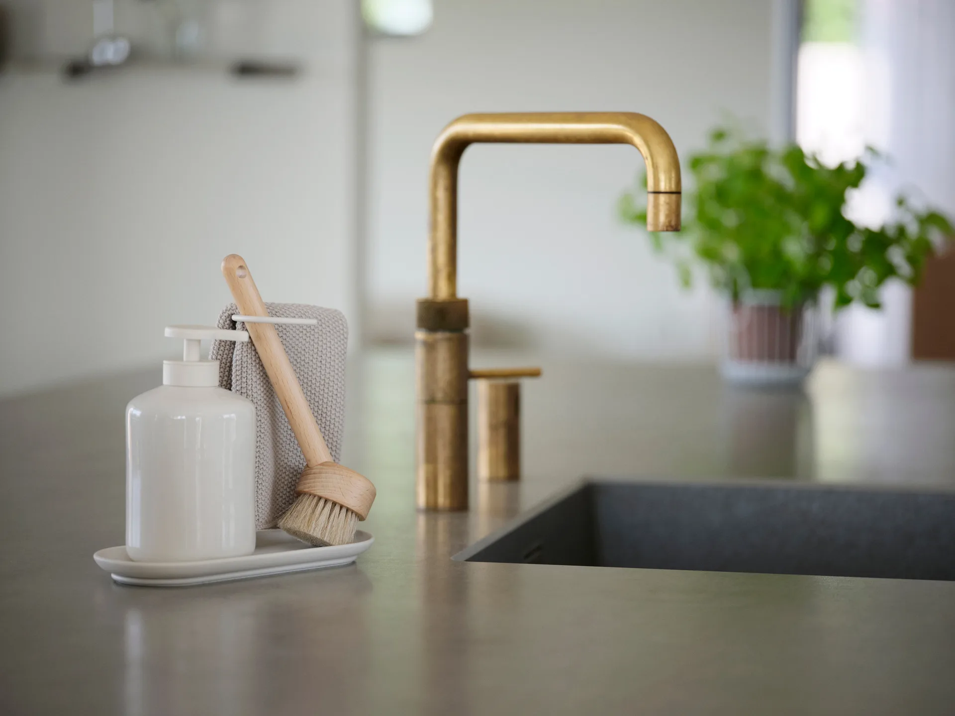 Inu afwasborstel, Beukenhout Zone Denmark