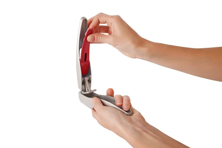 Zyliss Susi 3 knoflookpers 15,5 cm, Grijs Zyliss