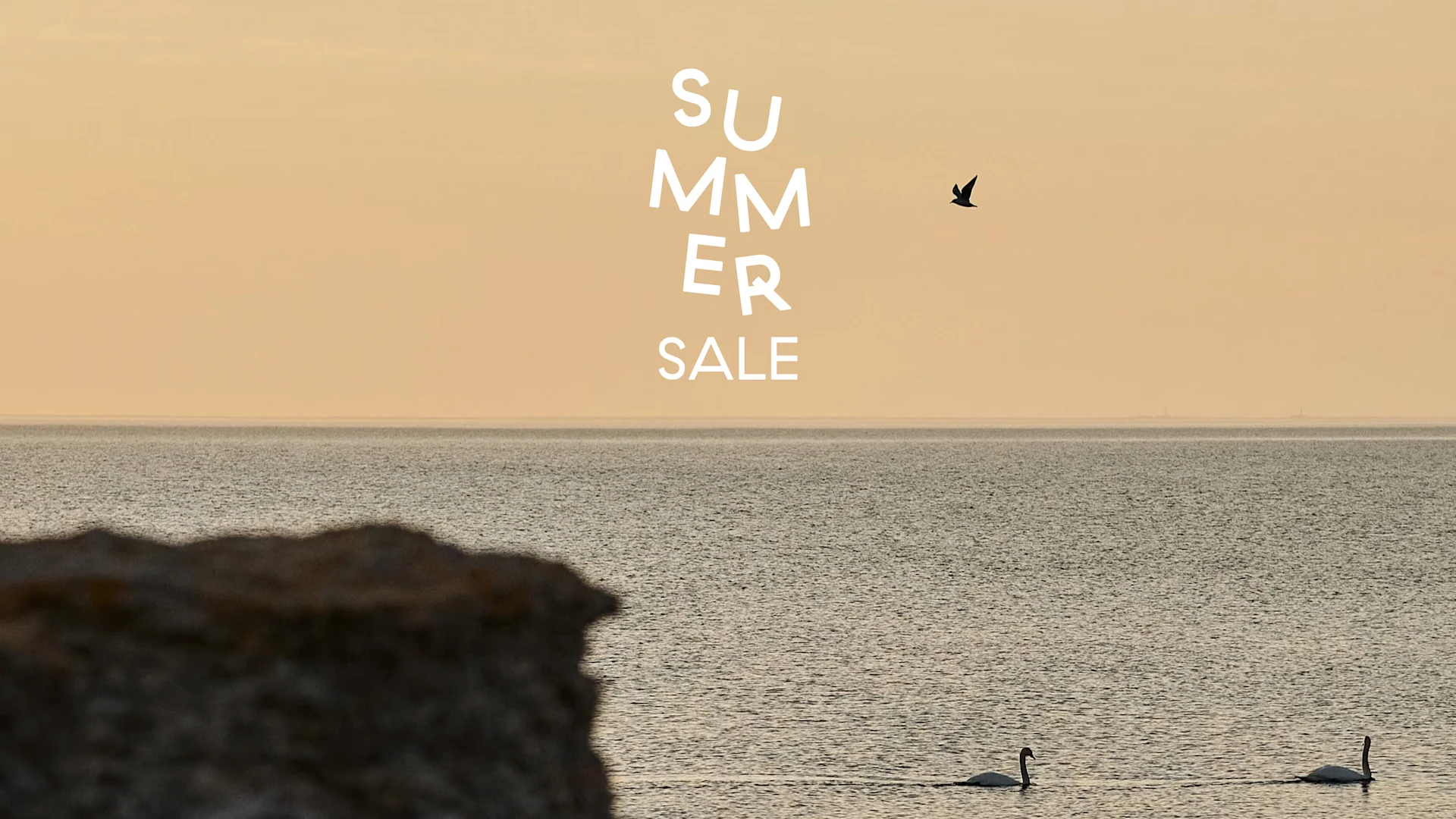 Tekst 'Summer Sale' boven een serene oceaan met twee zwemmende zwanen en een vliegende vogel onder een warme lucht.