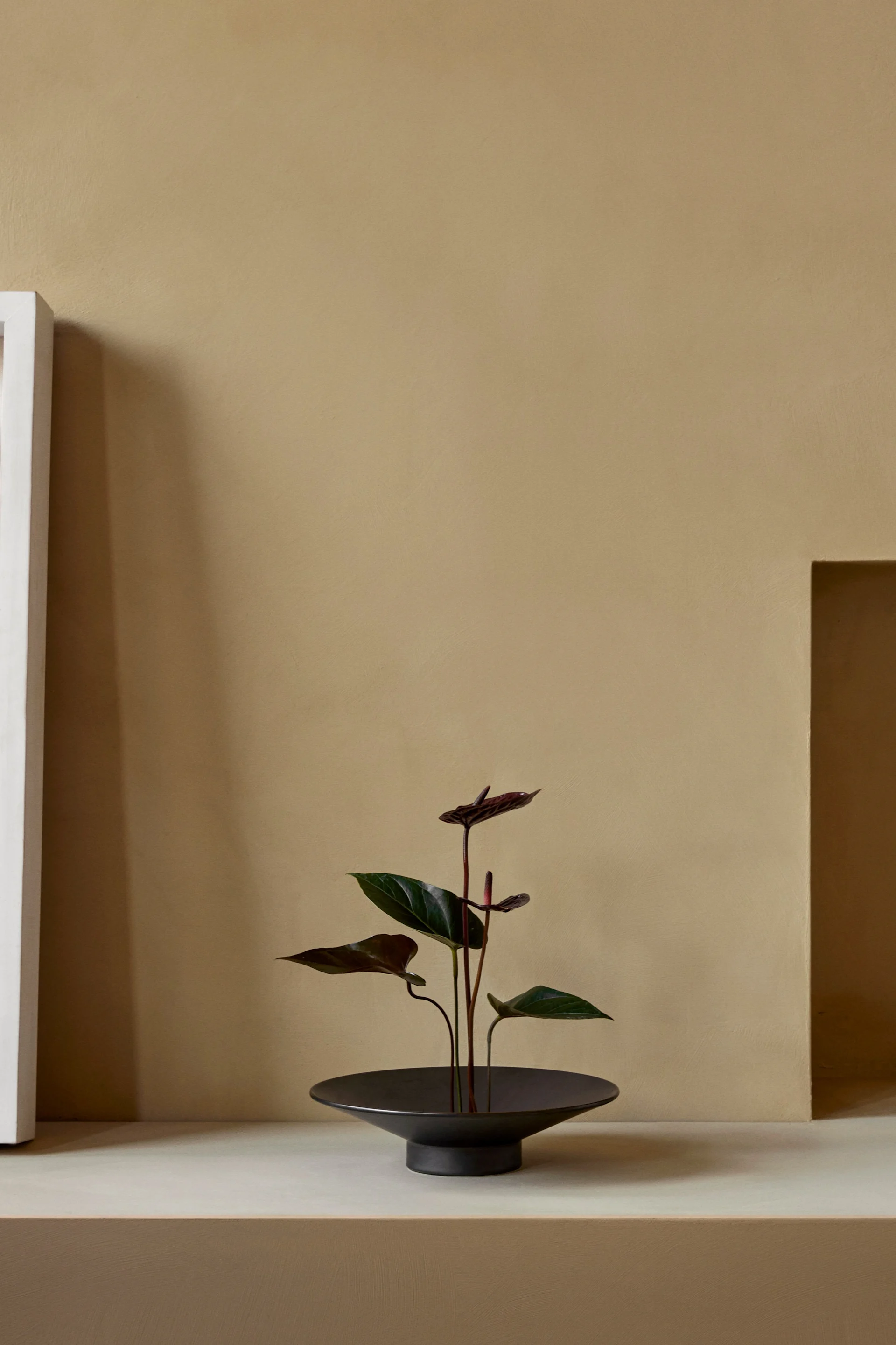 Een minimalistisch interieur met een donkergroene plant met donkerrode bloemen in een zwarte kom op een lichtbeige plank tegen een beige muur.