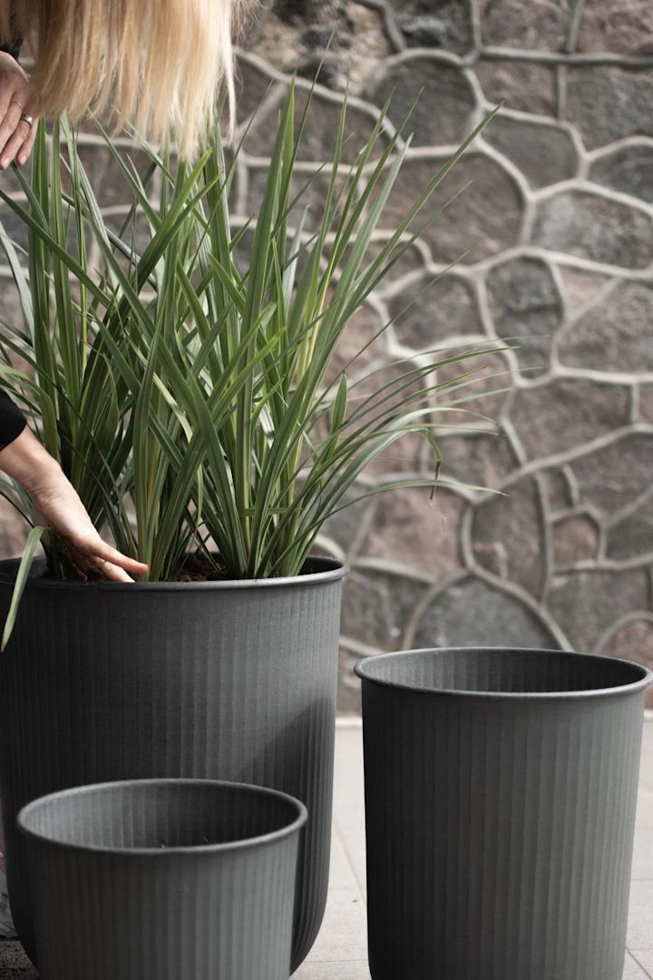Bloempotten voor buiten: Hier zie je drie donkere, grote metalen buitenpotten uit de Out collectie van DBKD, waarvan er één beplant is met hoog gras.