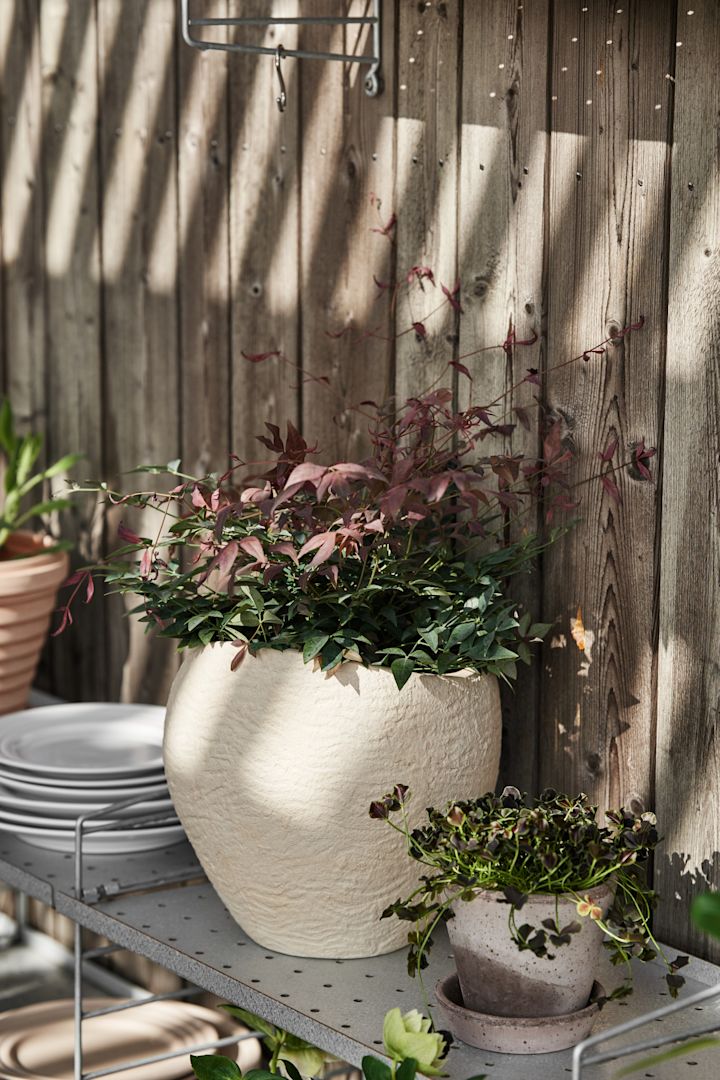 Een String wandplank op een terras, waarop de grote Plantas bloempot van Audo Copenhagen staat.