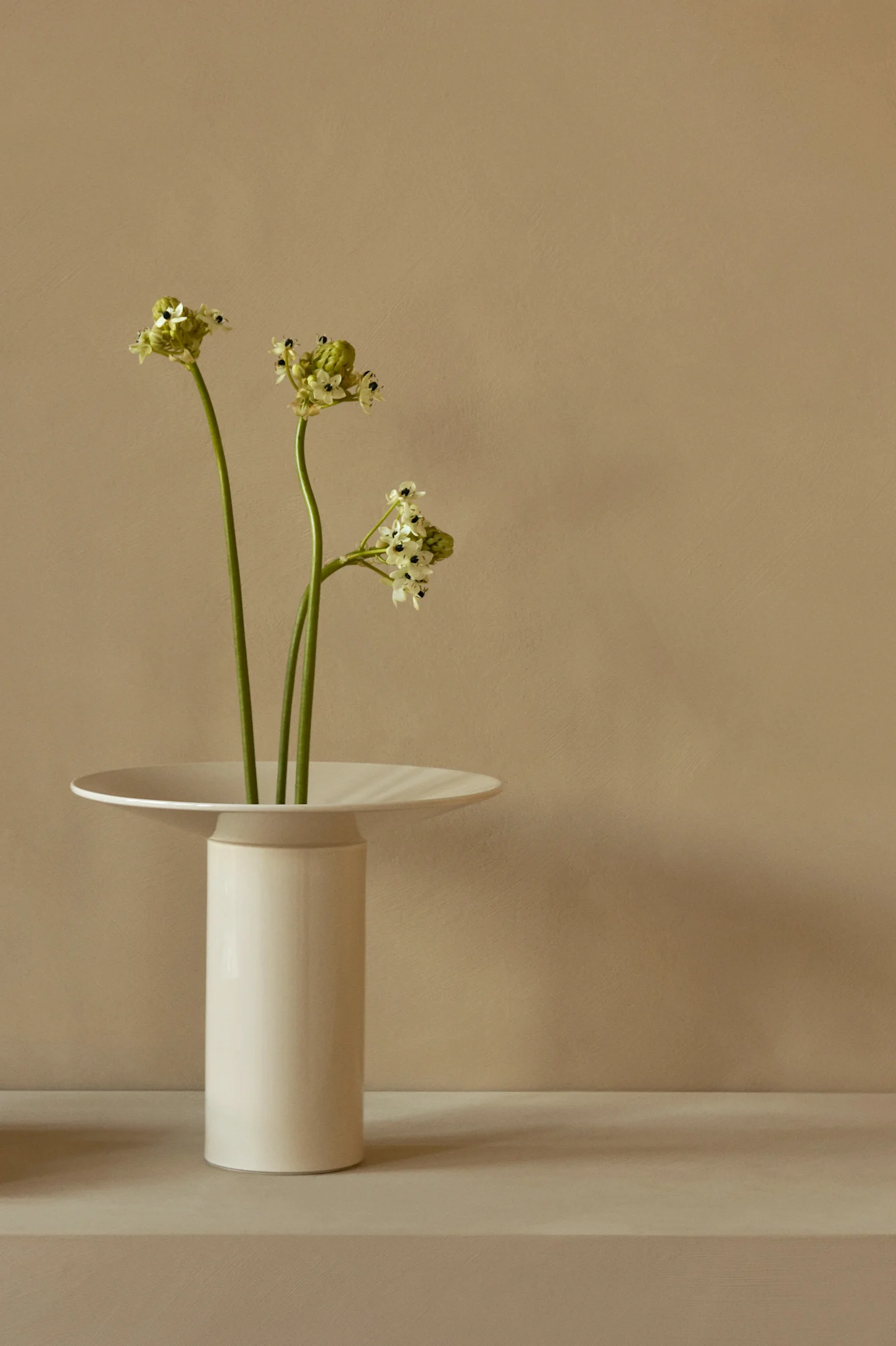 Drie groene stengels met kleine lichtgroene en witte bloemen in een hoge, witte vaas met een platte, brede rand.