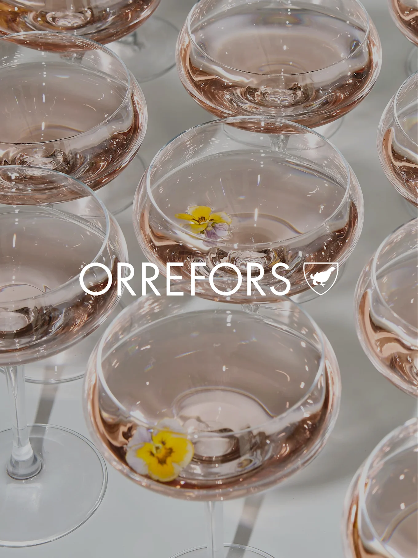 Heldere glazen kelken met roze vloeistof en gele viooltjes. 'ORREFORS'-tekst en logo zijn over elkaar heen gelegd.
