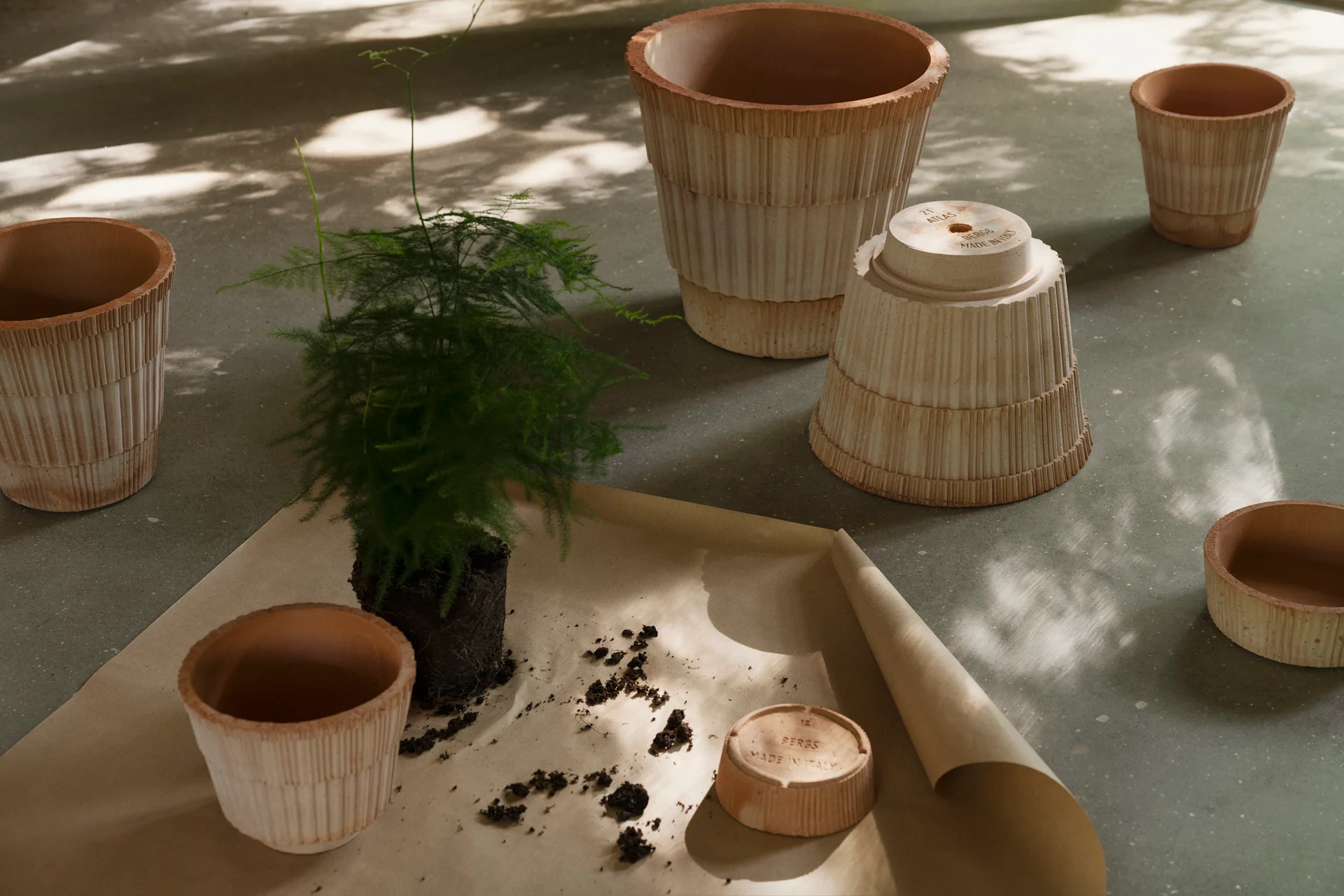 Plant wordt verpot met meerdere geribbelde terracotta potten en schotels op bruin papier.