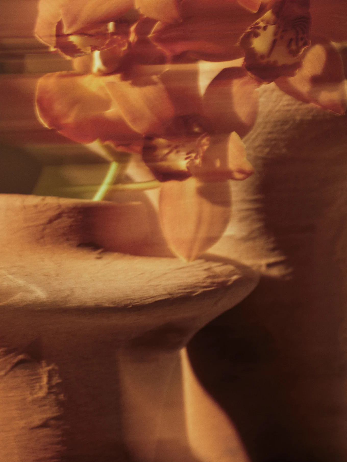 Wazige afbeelding van oranjerode orchideeën met zachte focus tegen een gestructureerde achtergrond.