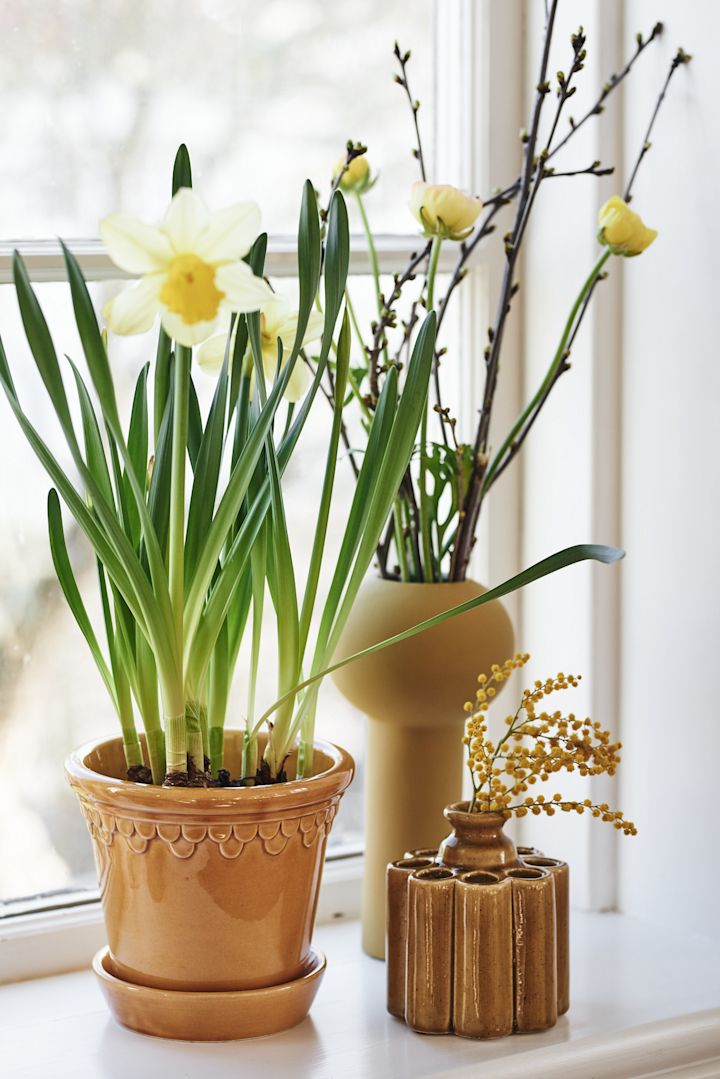 Paasdecoratie: Hier zie je lentebloemen in de Pillar vaas van Cooee Design en de gele Copenhagen bloempot van Bergs Potter.