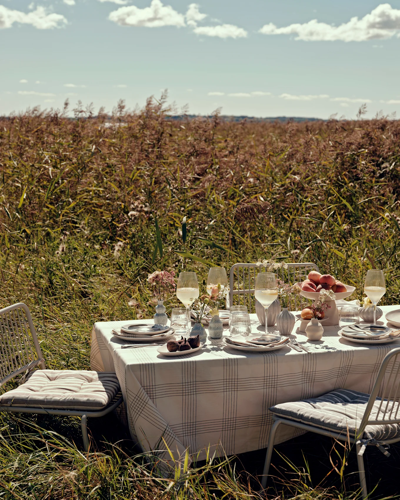 Buiten eettafel met witte stoelen, geruit tafelkleed, borden, glazen, perziken en vijgen, in een zonnig veld met hoog gras.