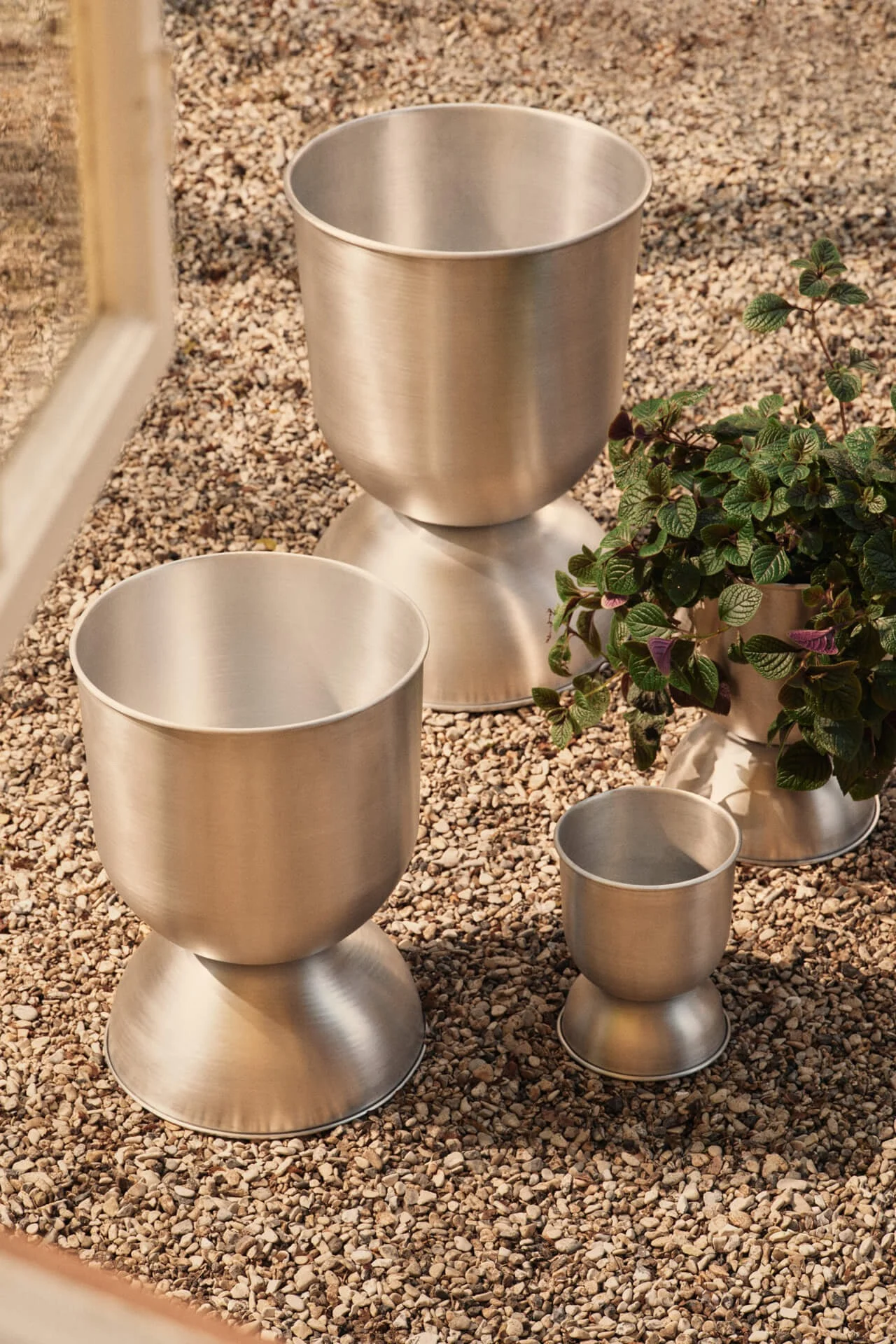 Drie geborstelde metalen plantenbakken van verschillende groottes op kiezels, één met een groene plant.
