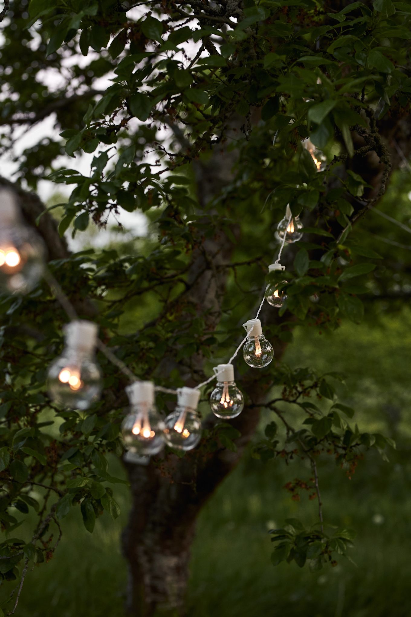 De Partaj witte sprookjeslampjes van Star Trading werden tussen de bomen gehangen om een gezellig licht te creëren.